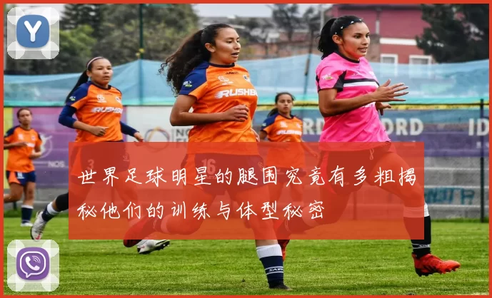 世界足球明星的腿围究竟有多粗揭秘他们的训练与体型秘密