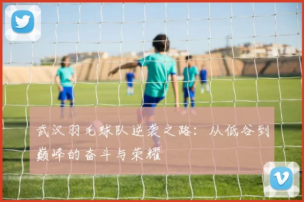 武汉羽毛球队逆袭之路：从低谷到巅峰的奋斗与荣耀
