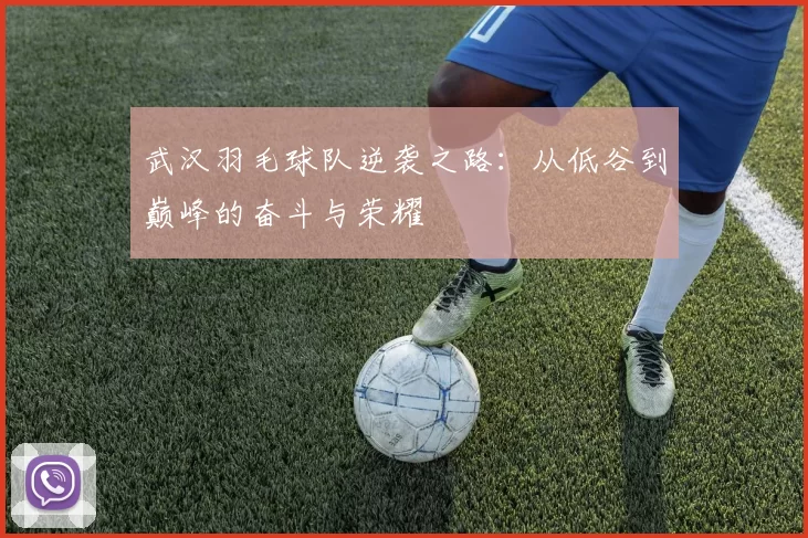 武汉羽毛球队逆袭之路：从低谷到巅峰的奋斗与荣耀