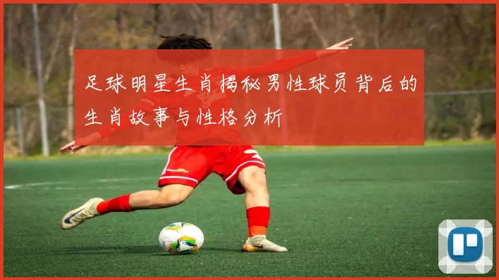 足球明星生肖揭秘男性球员背后的生肖故事与性格分析