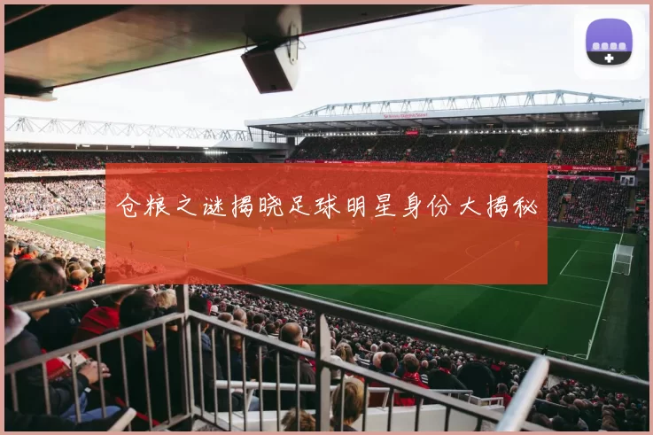 仓粮之谜揭晓足球明星身份大揭秘