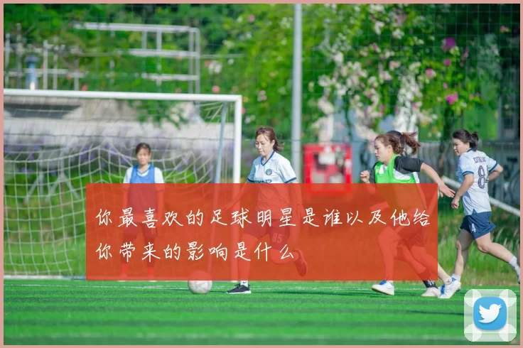 你最喜欢的足球明星是谁以及他给你带来的影响是什么