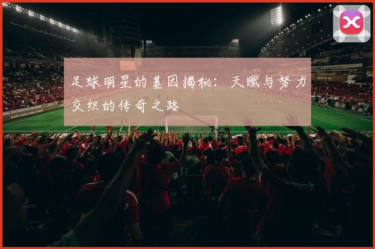 足球明星的基因揭秘：天赋与努力交织的传奇之路