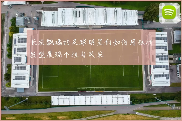长发飘逸的足球明星们如何用独特发型展现个性与风采