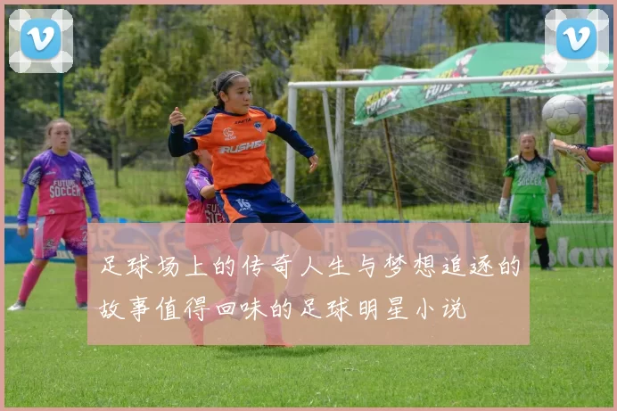 足球场上的传奇人生与梦想追逐的故事值得回味的足球明星小说