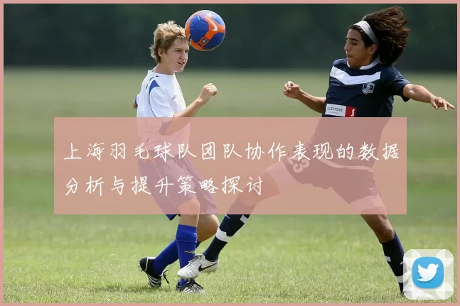 上海羽毛球队团队协作表现的数据分析与提升策略探讨