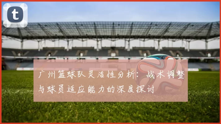 广州篮球队灵活性分析：战术调整与球员适应能力的深度探讨