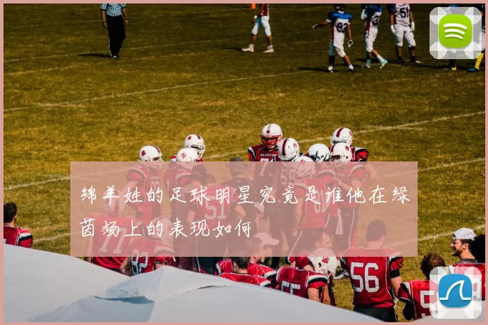 绵羊姓的足球明星究竟是谁他在绿茵场上的表现如何