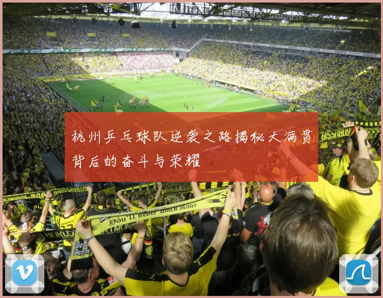 杭州乒乓球队逆袭之路揭秘大满贯背后的奋斗与荣耀