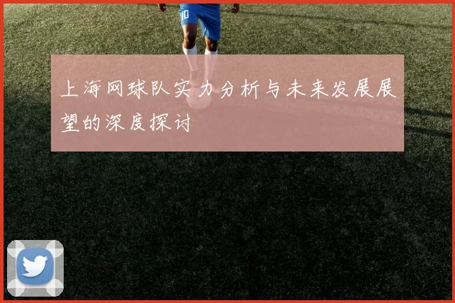 上海网球队实力分析与未来发展展望的深度探讨