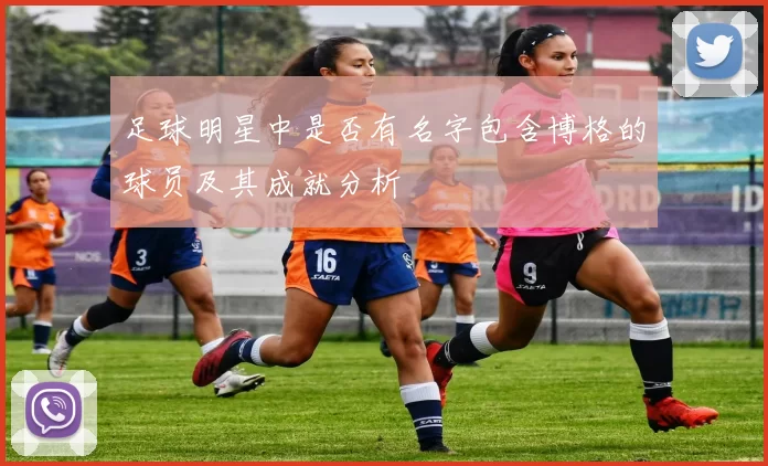 足球明星中是否有名字包含博格的球员及其成就分析