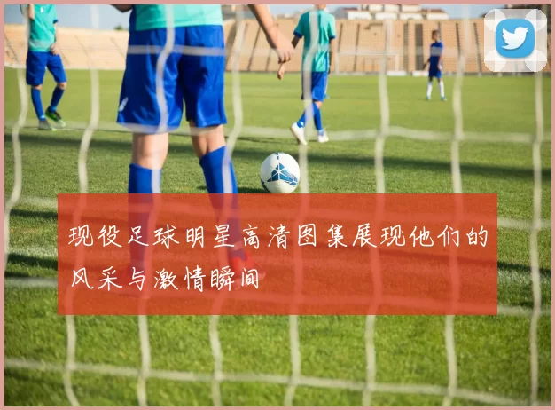 现役足球明星高清图集展现他们的风采与激情瞬间