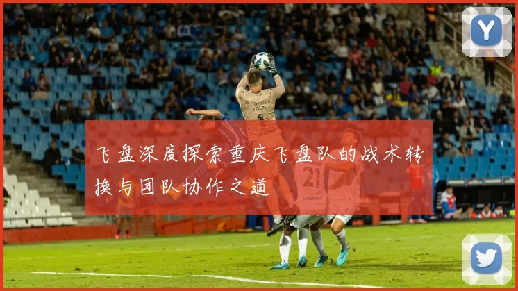 飞盘深度探索重庆飞盘队的战术转换与团队协作之道